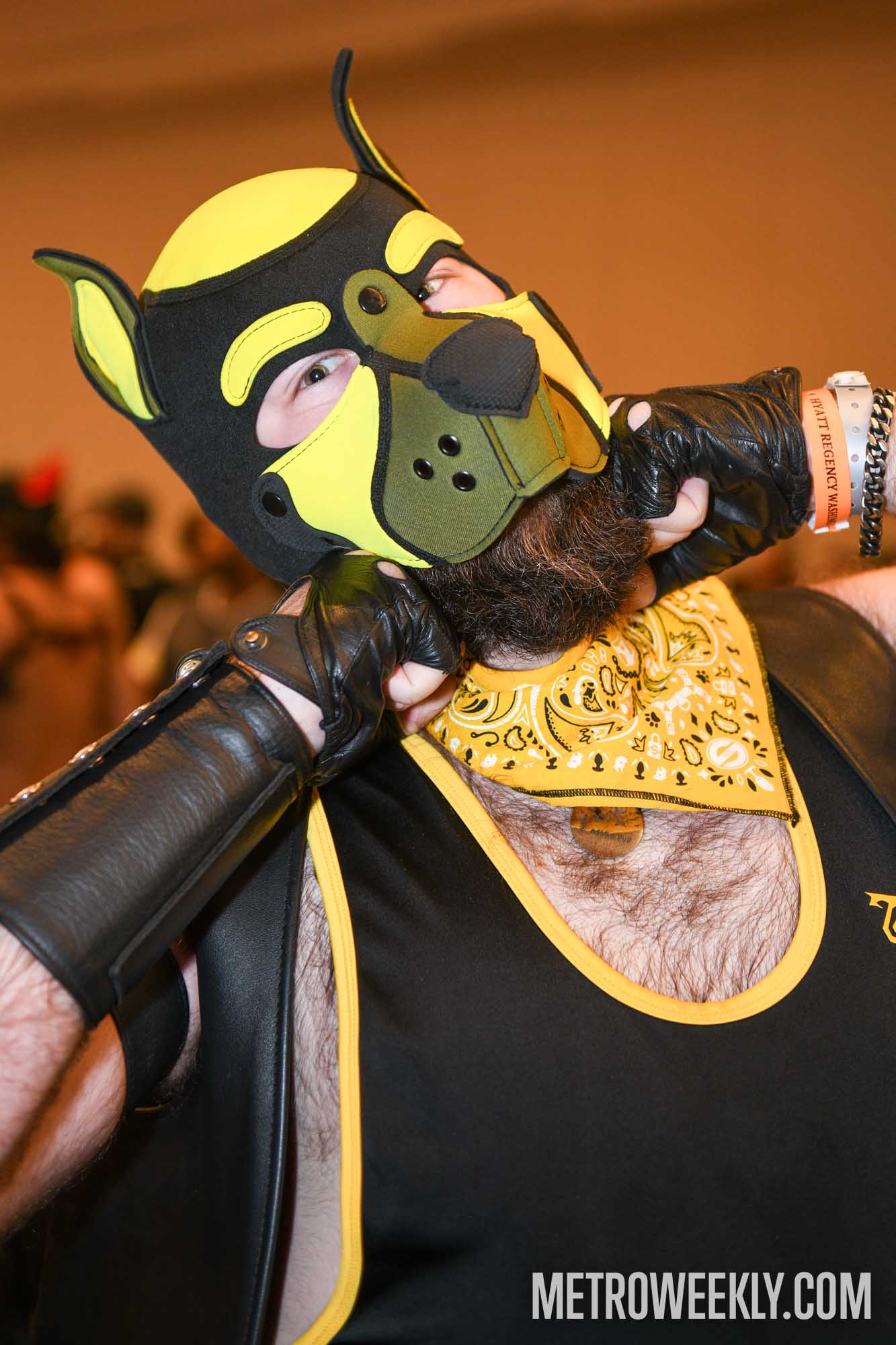 #26 of 168 : 2026-01-23_3027_179242.jpg