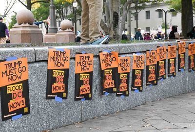 No Kings March, Washington D.C. #29